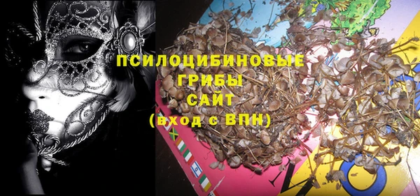 спиды Елизово