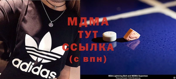 соль ск Ельня