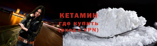 соль ск Ельня