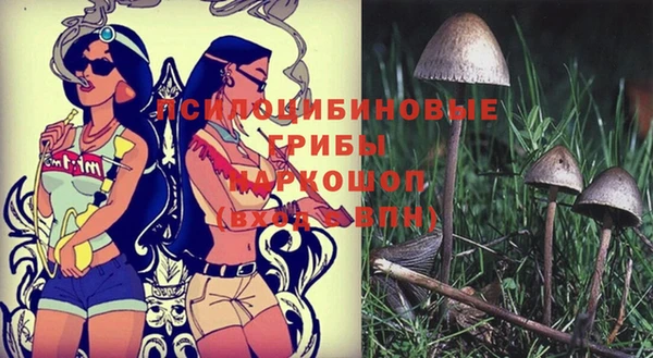 спиды Елизово